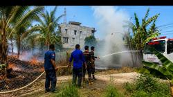 Gara-Gara Bakar Rumput, Lahan di Pinggir Jalan Poros Majene Terbakar