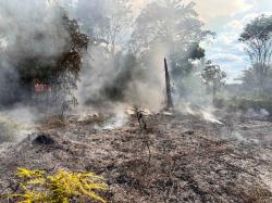 Lahan Kosong di Boven Digoel Terbakar, Polisi dan Damkar Berhasil Padamkan