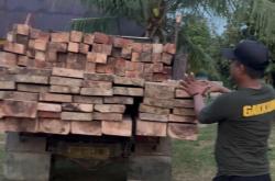 Tim Gabungan Gagalkan Pengiriman Kayu Kruing Diduga Ilegal di Lingga, Ini Penampakannya