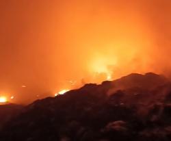 14 Jam Bertarung dengan Si Jago Merah, Damkar Padamkan Kebakaran Gudang Limbah di Purwasari