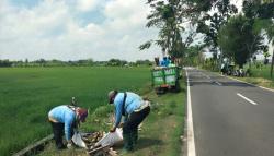 DLH Sisir Sampah Liar di Ruas Jalan Wilayah Bojonegoro Selatan, Ajak Warga Tingkatkan Kepedulian