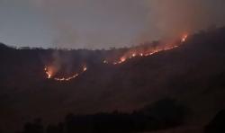 Kebakaran di Kawasan Gunung Bromo, Dua Pintu Masuk Ditutup