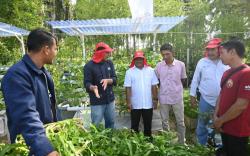 Bangkit dari Bencana, Warga Huntara Aceh Tamiang Panen Sayuran Hidroponik dan Ikan Lele