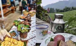 Di Jalur Wisata Bromo, Kedai Ini Bertaruh pada Menu Tradisional dan Panorama Kebun