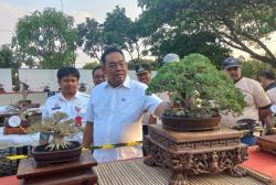Bupati Setyo Hadi Buka Pameran Bonsai Grobogan, Catat Perputaran Uang Tembus Rp100 Juta Per Bulan
