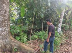 3 Bocah Banyuwangi Hilang Misterius Saat Cari Ikan, Ditemukan Selamat di Semak dan Atas Pohon Mahoni