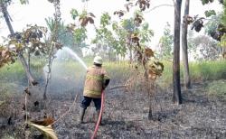 Kemarau Picu 19 Kebakaran Lahan di Kendal, Damkar Ingatkan Bahaya Bakar Sampah