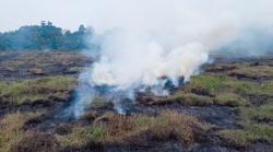 Kebakaran Lahan 2 Hektare di Tenjo Bogor Diduga Bersumber dari Sampah, Warga Sempat Panik
