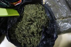 Petugas Avsec Bandara Sentani Gagalkan Penyelundupan Ganja 940 Gram dari Wamena