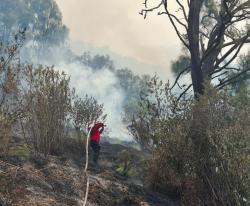 Luas Kebakaran Bromo Capai 86 Hektare, Api Sempat Muncul Lagi di Lereng Jantur