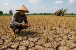 Puso Ancam Petani, Pemkab Tangerang Siapkan 8,9 Ton Benih