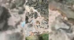 Geger! Potongan Kaki Manusia Ditemukan di Tepi Laut Tuban