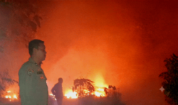 Sigap! Tim Gabungan Berhasil Padamkan Kebakaran Lahan di Tanggungharjo Grobogan