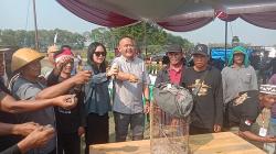 Ribuan Pencinta Perkutut Tumpah di Mataram, Suara Merdu Jadi Adu Gengsi
