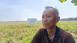 Imbas Embung Pertamina Kering, Petani Balongan Mengaku Rugi