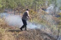 Tim Gabungan Jinakan Si Jago Merah di Hutan Jampes Banyumas: 3 Hektare Lahan Perhutani Terbakar