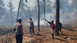 3 Hektare Lahan Perhutani di Hutan Jampes Cilongok Terbakar, Petugas Gabungan Turun Tangan
