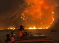 Respons Pemerintah Pusat Soal Karhutla Kawasan Bromo yang Hanguskan 520 Hektare Lahan
