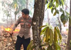 Kemarau Picu Kebakaran Lahan di Tubo Sendana, Bhabinkamtibmas Turun Padamkan Api