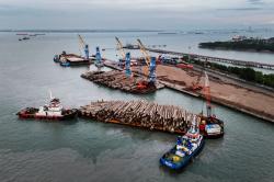 Pelindo Multi Terminal Catat Kinerja Positif pada Semester I 2026