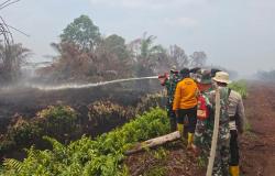 23 Hektare Lahan di Bengkalis Terbakar, Polri TNI dan Manggala Agni Berjibaku Lawan Api