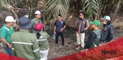Dugaan Limbah Sawit Bikin Sungai Budong-Budong Menghitam, DLHK Ambil Sampel untuk Uji Labolatorium