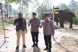 Bersama Balai Konservasi Jaga Alam, Polda Riau Hadirkan Breeding Area Gajah Sumatera di PLG Minas
