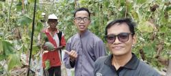 Rahasia Melon Premium Blitar Tembus 13 Brix, Ada Teknologi IoT di Balik Smart Greenhouse