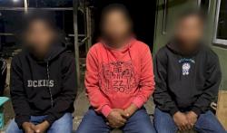 Video Pembakaran Burung Hantu di Manggarai Barat Viral, Tiga Pelaku Langsung Diamankan Polisi