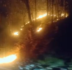Hutan Jati Arak-arak di Perbatasan Bondowoso–Situbondo Terbakar, Petugas Berjibaku Padamkan Api
