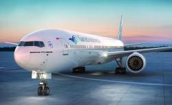 Direktur Niaga Garuda Indonesia Reza Aulia Hakim Diberhentikan Sementara