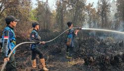 Tim Dalkarhutla dan Helikopter Water Bombing Dikerahkan Padamkan Karhutla di Petuk Ketimpun