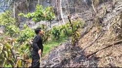 Polisi dan Warga Gotong Royong Jinakkan Karhutla di Mambi
