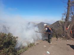 Karhutla Bromo Padam, Luas Area Terbakar 1.120,3 Hektare