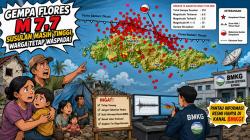 Gempa Susulan Capai 312 Kali, BMKG: Aktivitas Sesar Naik Flores Masih Sangat Tinggi