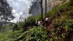 Karhutla Sapu 12 Hektare Lahan 15 Warga di Mamasa, Sempat Dekati Permukiman, Warga Minanga Panik