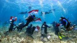 Dari Kedalaman Maratua, Merah Putih Berkibar: Berau Divers Jaga Surga Karang Indonesia