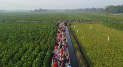 Merayakan Kemerdekaan Sambil Berjualan, Pawon Kopo Alas Tengah Jadi Ruang Hidup Ekonomi Warga