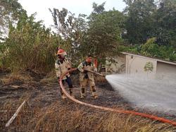 Musim Kemarau, BPBD Sulbar Ingatkan Bahaya Membakar Daun Kering Sembarangan