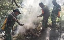 Danrem Sisir Bekas Karhutla TNBTS, Pastikan Tak Ada Bara Tersisa