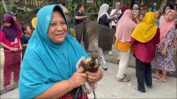 Seru dan Kocak! Lomba Tangkap Bebek Emak-Emak di Lamongan Bikin Warga Ngakak