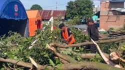 Diterjang Puting Beliung, 150 Rumah dan Satu Sekolah di Medan Johor Rusak