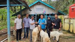 Perkuat Ekonomi Desa, PLN NP UP Arun Dorong Kemandirian Kelompok Tani Peternak Kambing