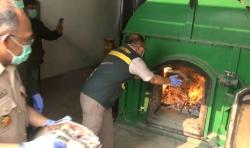 Gagal Diselundupkan, 3 Ton Daging Celeng dan 600 Kg Labi-Labi Dimusnahkan di Cilegon