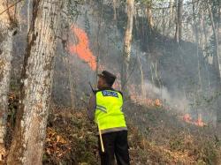 Lahan Seluas Satu Hektare Terbakar di Kebasen, Api Berhasil Dijinakkan 1,5 Jam