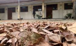 Potret Pendidikan! SDN Setono Ponorogo Terpaksa Ditutup Permanen