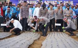 Polri Tanam Bawang Putih, Bidik 500 Hektare Lahan, Target Produksi 450 Ton, Kejar Swasembada 2029