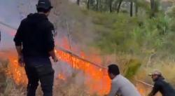 Hutan Pinus Malino Gowa Terbakar, Warga Khawatir Api Merembet ke Permukiman