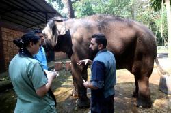 Bukan Sekadar Kebun Binatang, Bandung Zoo Disiapkan Jadi Pusat Konservasi di Tengah Kota