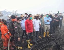 Wamenko Pangan Tinjau Karhutla Palangka Raya, Minta Pasukan Darat dan Sumur Bor Diperkuat